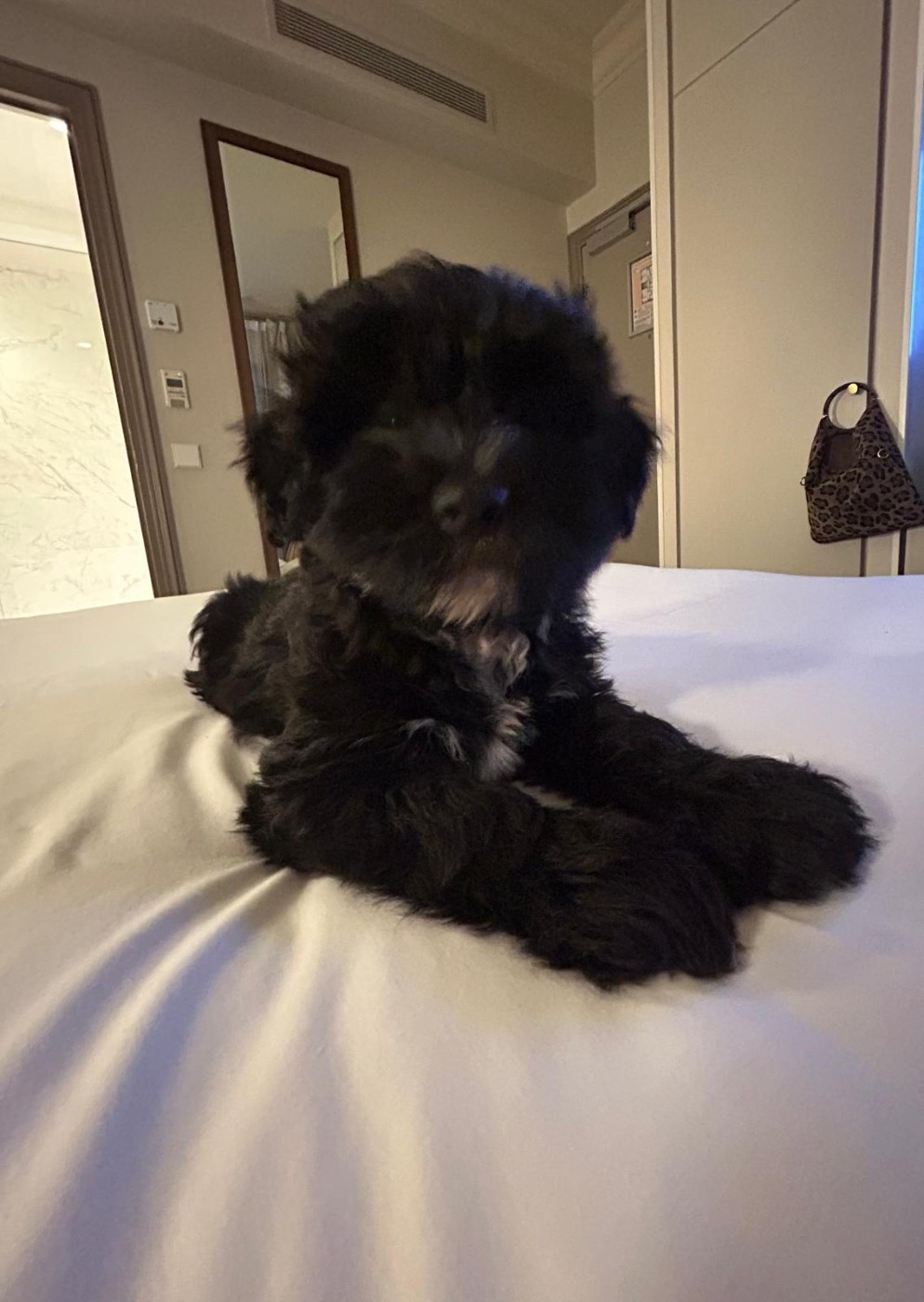 des Anges Gardiens du Tibre - 1er rencontre de Levi et sa maîtresse