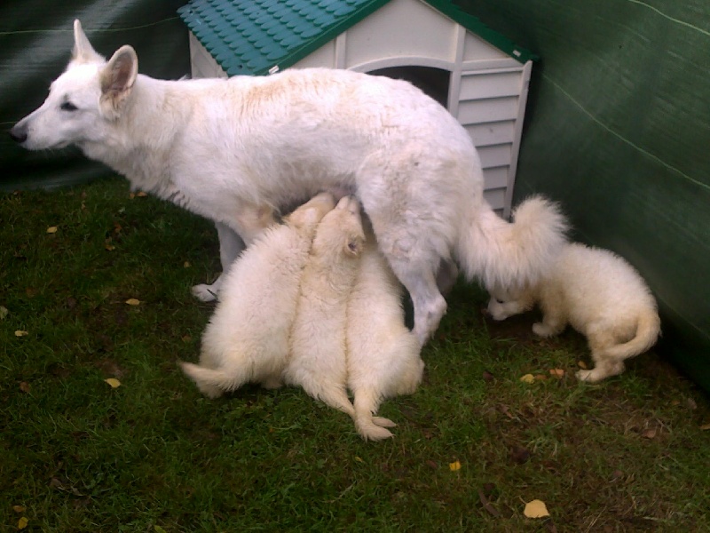 les BBS en sortie...un peu d'air