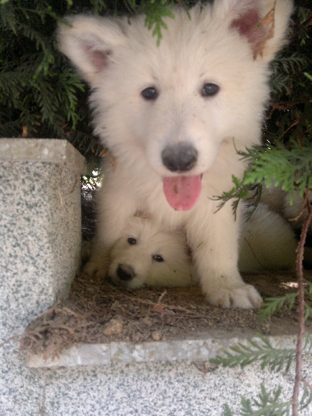 Une partie de Cache cache
